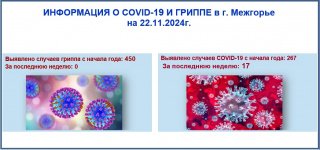 Информация о ковид-19 и гриппе в г. Межгорье на 22.11.2024 г.