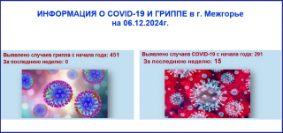 Информация о ковид-19 и гриппе в г. Межгорье на 06.12.2024