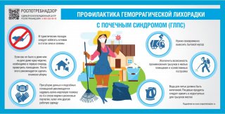 В Башкирии с начала 2025 года выявлено 57 случаев мышиной лихорадки