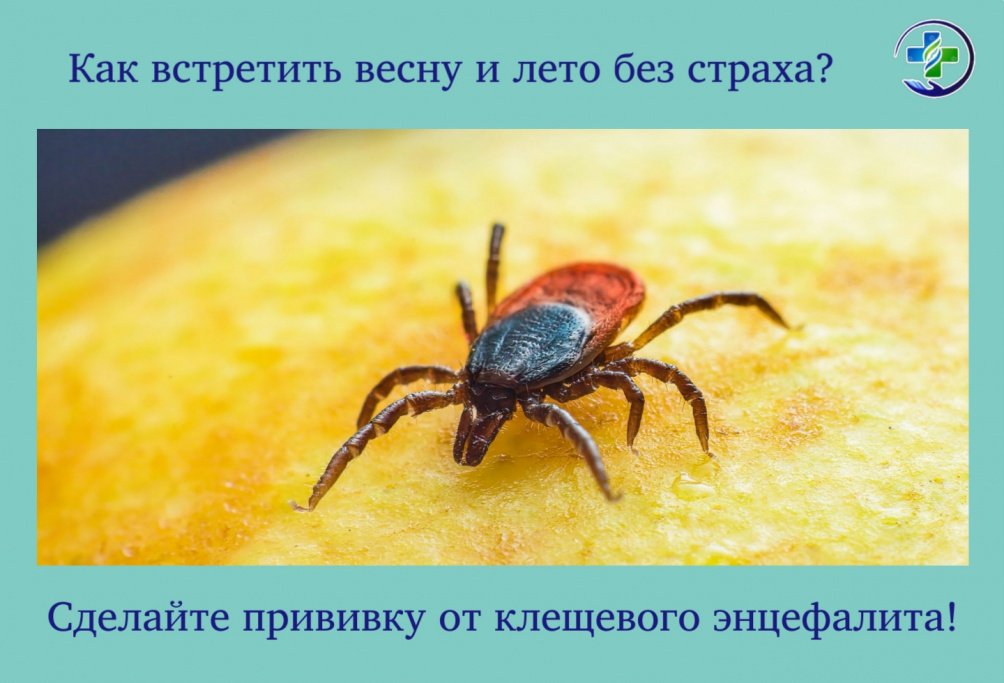 На пороге - весна! Сейчас самое время позаботиться о своем здоровье и безопасности!
