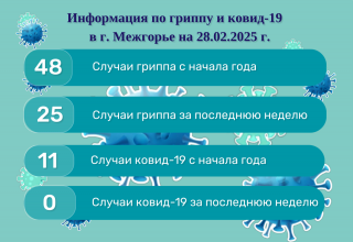 Информация по гриппу и ковид-19 в г. Межгорье на 28.02.2025 г.