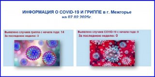 Информация о ковид-19 и гриппе в г. Межгорье на 07.02.2025 г.