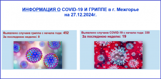 Информация о Ковид-19 и гриппе в г. Межгорье на 27.12.2024 г 