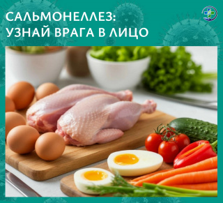 Сальмонеллёз: чем коварна бактерия