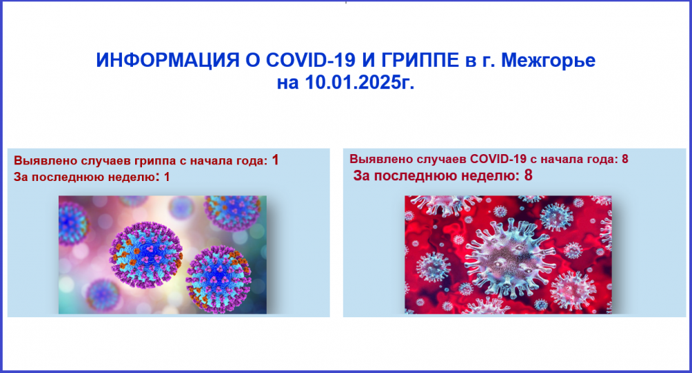 Информация о ковид-19 и гриппе в г. Межгорье на 10.01.2025 г.