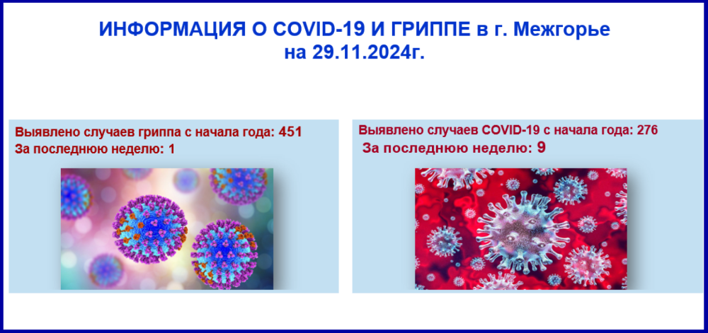 Информация о Ковид-19 и гриппе в г. Межгорье на 29.11.24