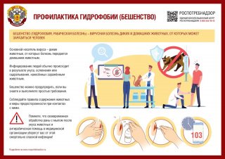 Бешенство - неизлечимое инфекционное заболевание!