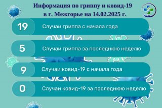 Информация по ковид-19 и гриппу в г. Межгорье на 14.02.2025 г.