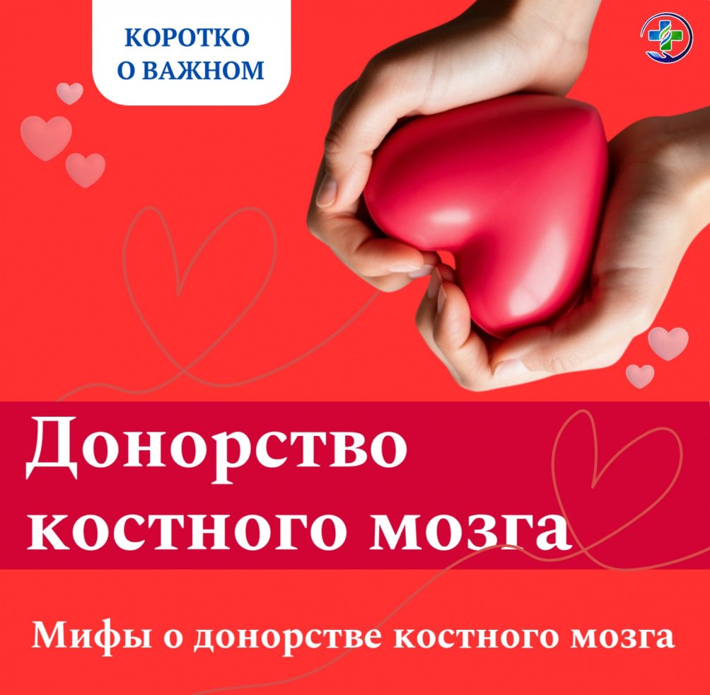 Мифы о донорстве костного мозга — разберём страхи и правду!